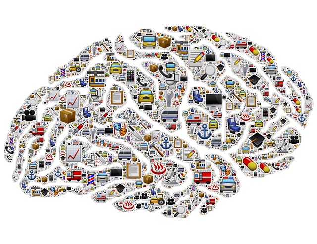 brain